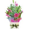 Pink Beautiful Fresh Flower Bouquet - White Box Green Ribbon - Floral design