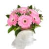 Love and laughter fresh flowers - Transvaal daisy