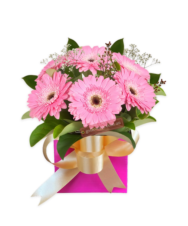 Sweet Pink Gerberas - Pink Box Gold Ribbon - Transvaal daisy