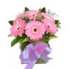 Sweet Pink Gerberas - Green Box Pink Ribbon - Transvaal daisy