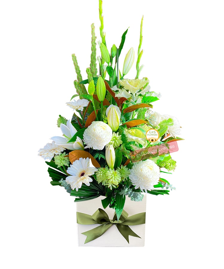 Sunshine Day Baby Flowers - White Box Green Ribbon - Cut flowers