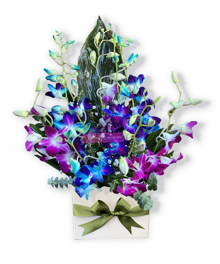 A Magical Moment Orchid Blooms - White Box Green Ribbon - Floral design