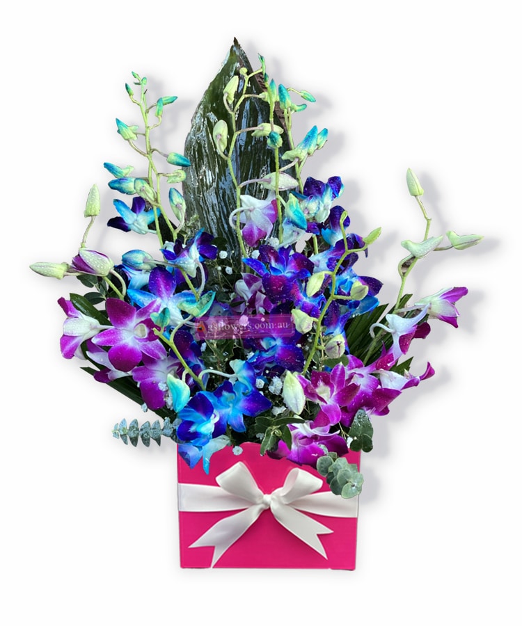A Magical Moment Orchid Blooms - Pink Box White Ribbon - Floral design