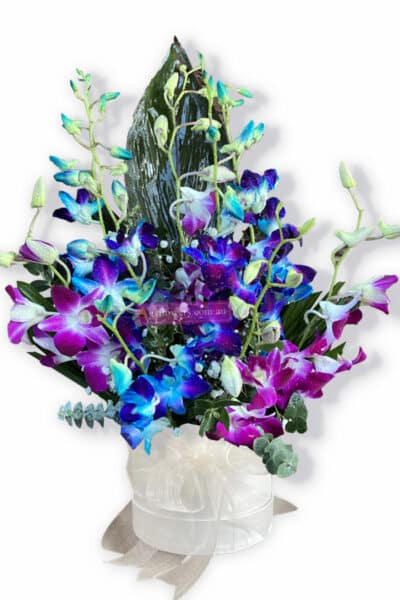 Loving Light Sympathy Orchids - Floral design