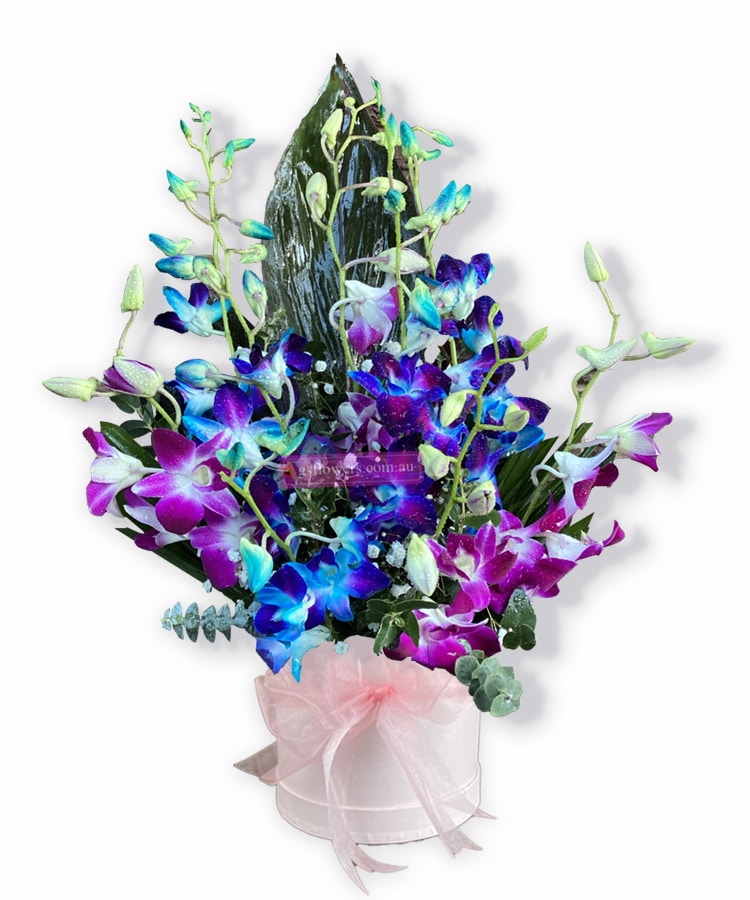 A Magical Moment Orchid Blooms - Floral design