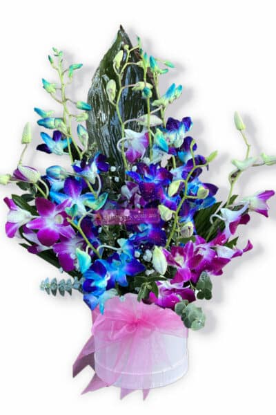 Summer Rainbow Orchid Blooms - Floral design