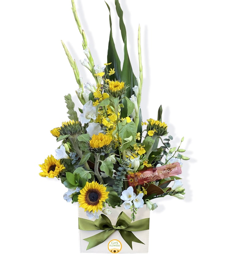 Little Sunshine Baby Flowers - White Box Green Ribbon - Floral design