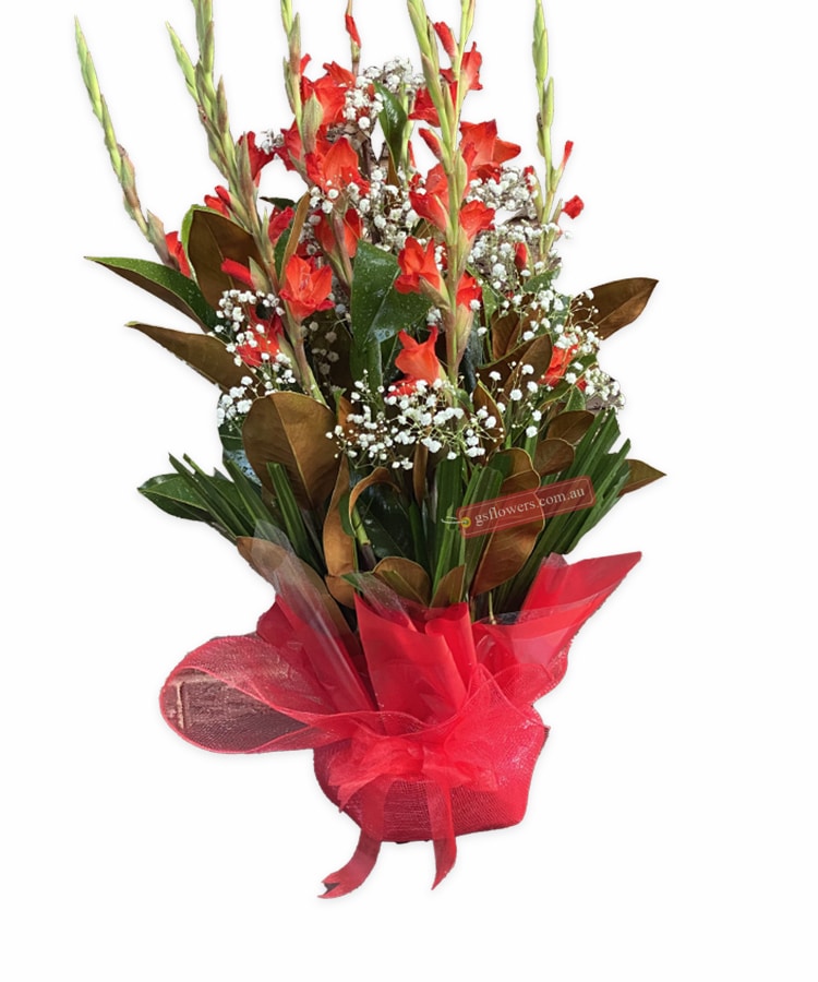You're My Everything Gladiolus - Floral design