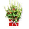 The Secret of Gladiolus Flowers - Red Box White Ribbon - Cut flowers