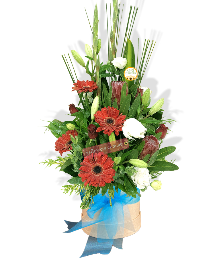 Hello Stella Fresh Flowers - Cream Box Blue Ribbon - Floral design