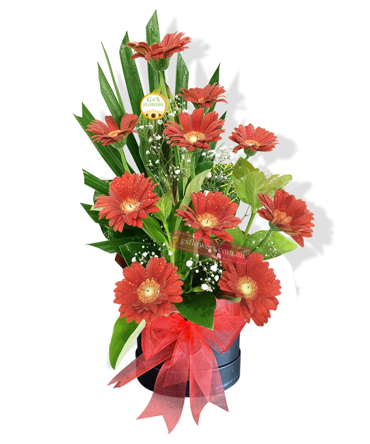 Happy Time Orange Gerberas - Black Box Red Ribbon - Floral design