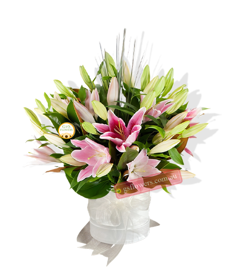 Little Lily Baby Bouquet - White Box White Ribbon - Floral design