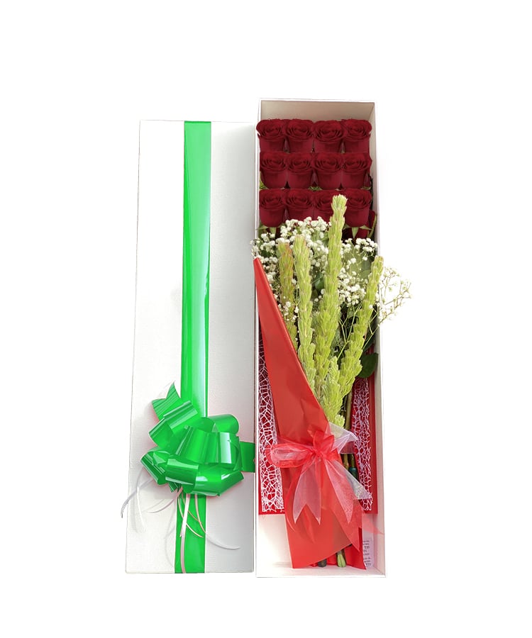 12 Red Roses Collection Box - White Box Green Ribbon - Flower