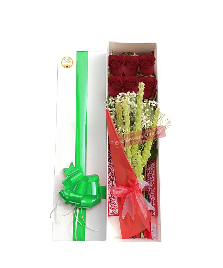 6 Red Roses Collection Box - White Box Green Ribbon - G & S Flowers