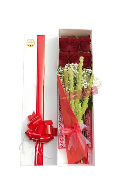 6 Red Roses Collection Box - Flower