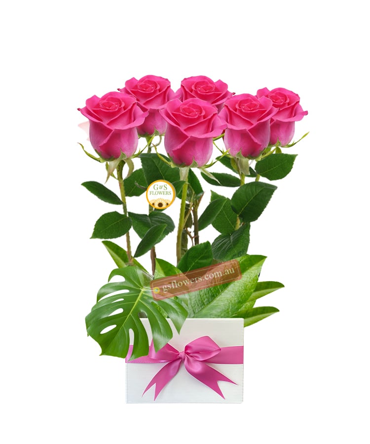 6 Beautiful Pink Roses - White Box White Ribbon - Floral design