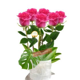 6 Beautiful Pink Roses