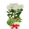 Simply White Roses - White Box Red Ribbon - Floral design