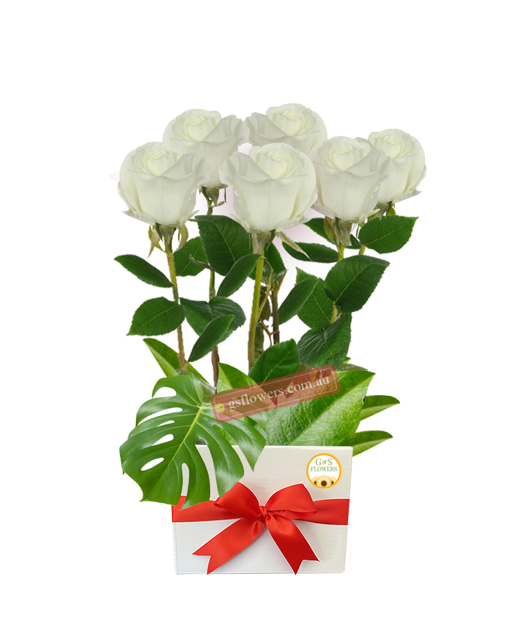 Simply White Roses - White Box Red Ribbon - Floral design