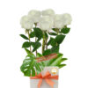 Simply White Roses - Square Box Pink Ribbon - Floral design