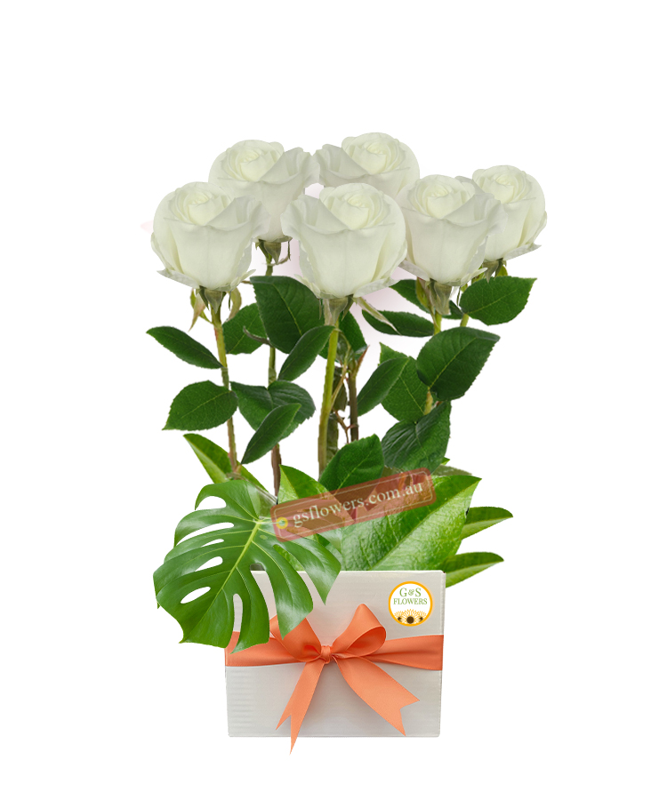 Simply White Roses - Square Box Pink Ribbon - Floral design