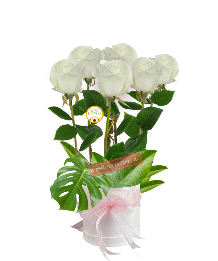 Simply White Roses - White Box Pink Ribbon - Floral design