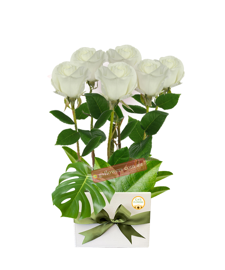 Simply White Roses - White Box Green Ribbon - Floral design