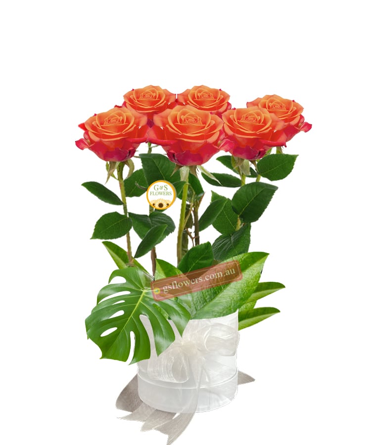 6 Beautiful Orange Roses - Floral design