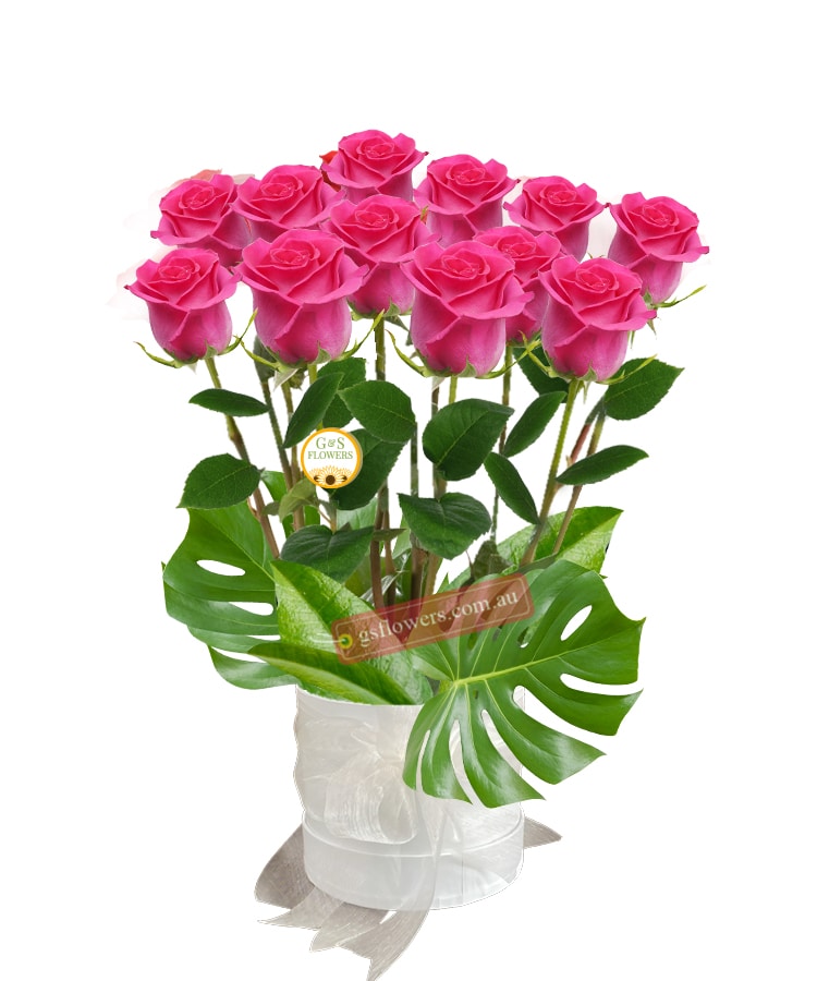 12 Forever Pink Roses - White Box White Ribbon - Floral design