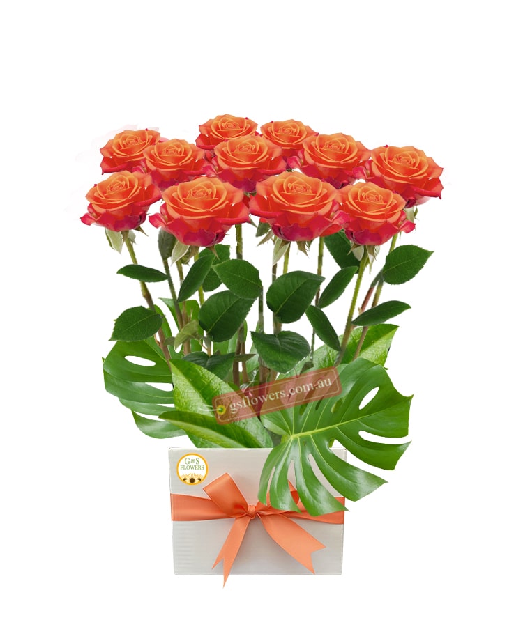 12 Forever Orange Roses - White Box Orange Ribbon - Floral design