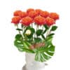 12 Orange Roses Only - Floral design