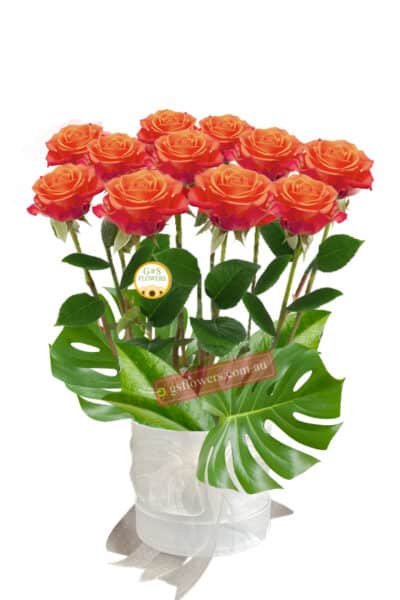 12 Orange Roses Only - Floral design