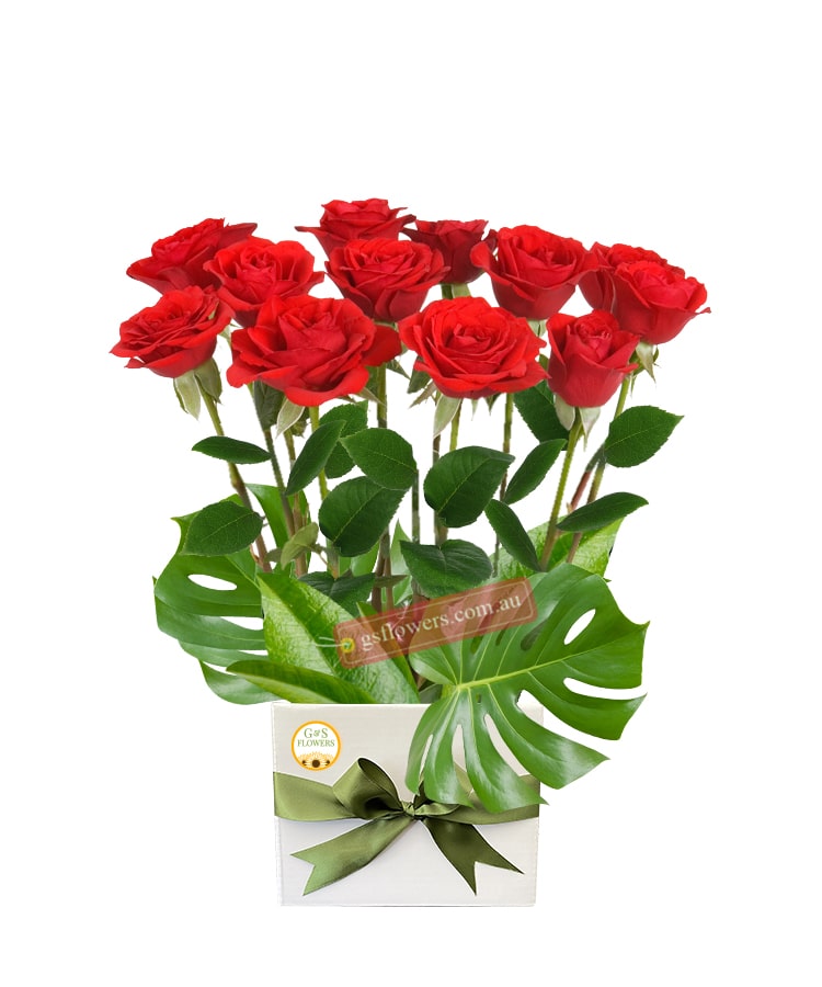 12 Red Roses Only - White Box Orange Ribbon - Floral design