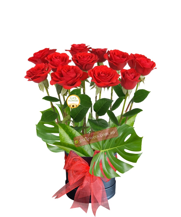 12 Forever Red Roses - Floral design