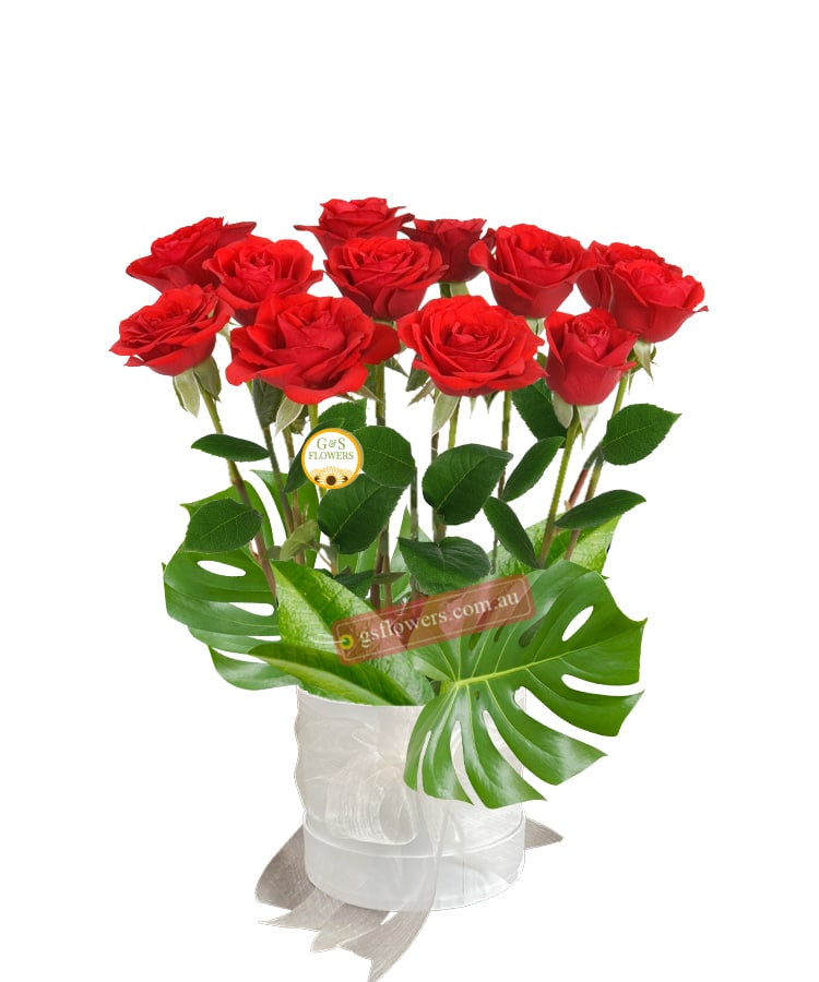 12 Red Roses Only - Floral design