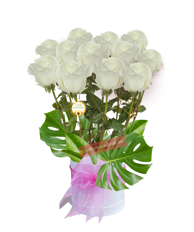 12 Long Stems White Roses - White Box Pink Ribbon - Floral design