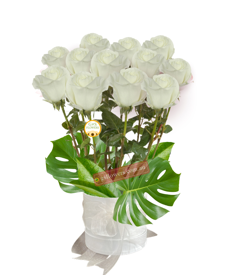 12 Long Stems White Roses - White Box White Ribbon - Floral design