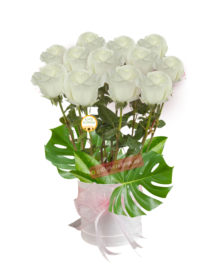 12 Long Stems White Roses - Floral design