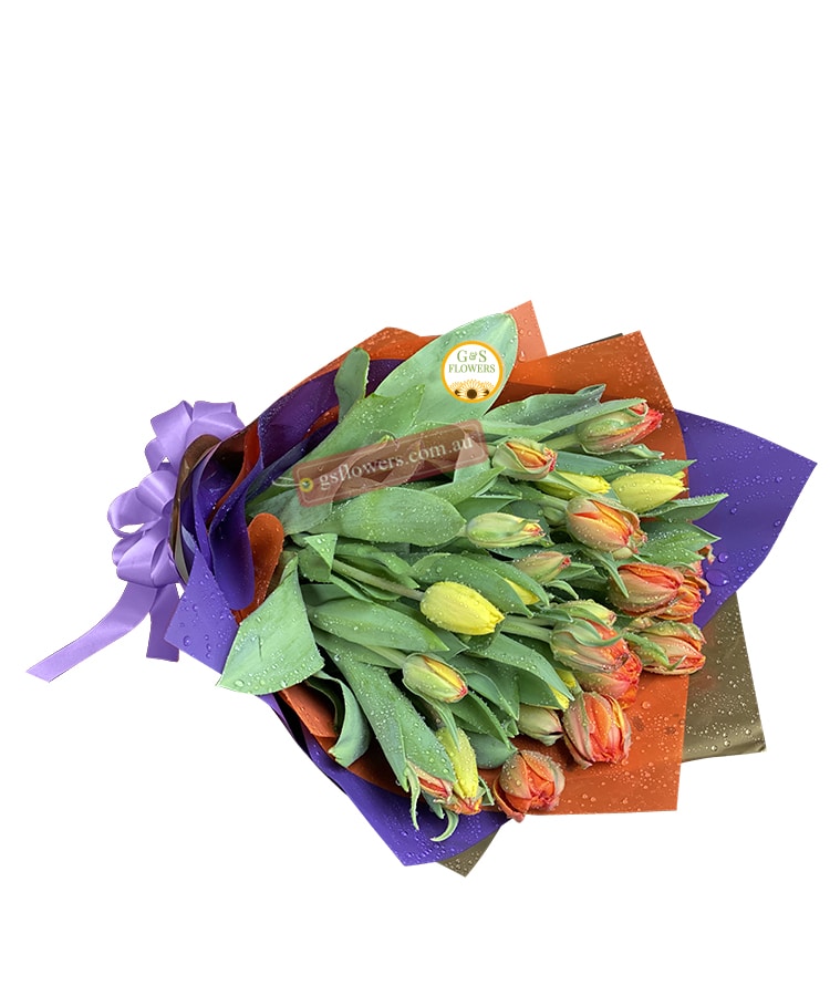 Classic Elegance Tulips Flowers Bouquet - Wrapped Purple Ribbon - Cut flowers