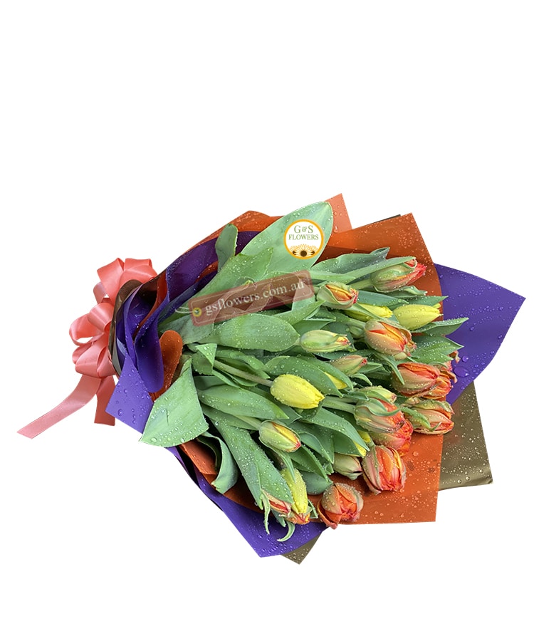 Classic Elegance Tulips Flowers Bouquet - Wrapped Orange Ribbon - Cut flowers