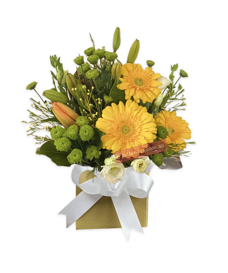 Bright Yellow Fresh Mixed Flowers - Gold Box White Ribbon - Cut flowers