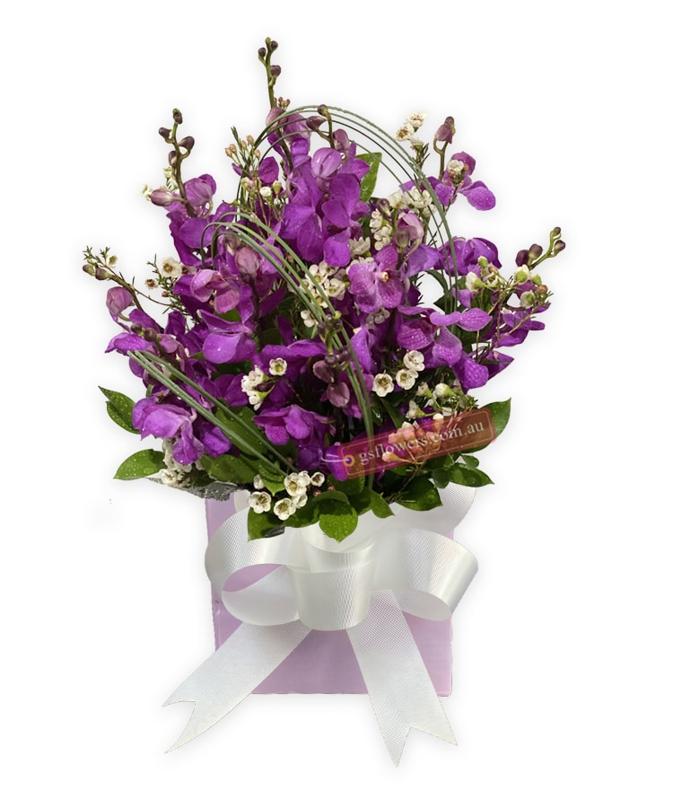 Get Better Soon with Orchids - Pink Box White Ribbon - Floral design
