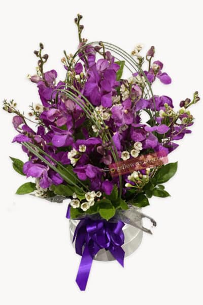Get Better Soon with Orchids - Floral design