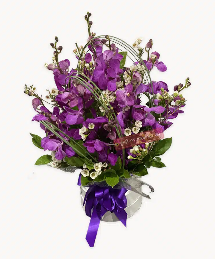 Get Better Soon with Orchids - Floral design