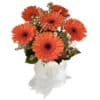 Vibrant Orange Fresh Gerbera Daisy Flowers - Flower