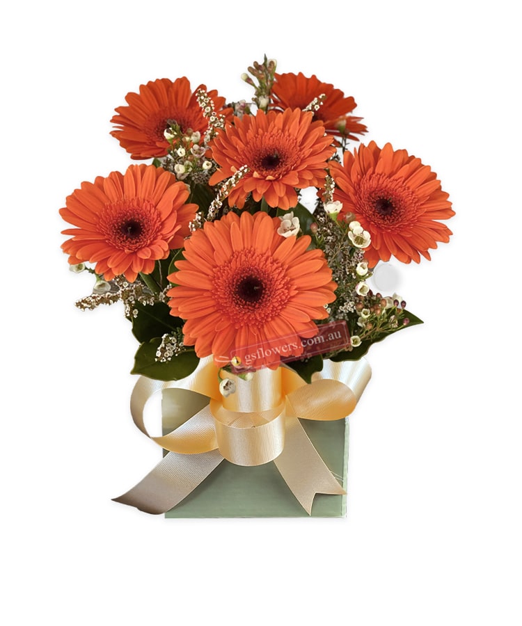Vibrant Orange Fresh Gerbera Daisy Flowers - Cream Box Gold Ribbon - Floral design