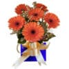 Vibrant Orange Fresh Gerbera Daisy Flowers - Blue Box Gold Ribbon - Floral design