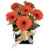 Blossom Orange Gerberas - Blue Box Gold Ribbon - Floral design
