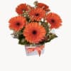 Vibrant Orange Fresh Gerbera Daisy Flowers - White Box Orange Ribbon - Floral design