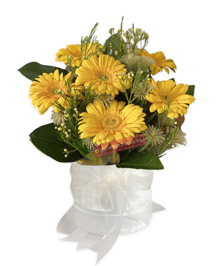 Warm Thought Yellow Gerberas - Floral design
